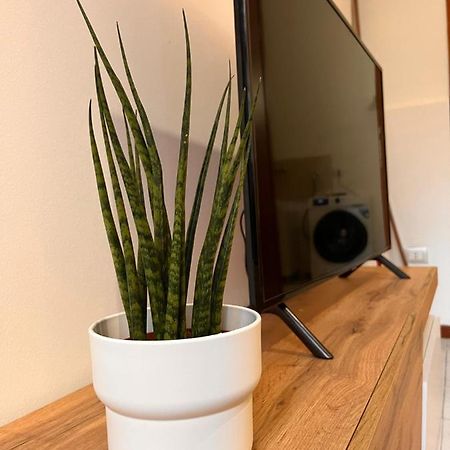 Bianca Lavica Guest-House Apartment Catania Luaran gambar